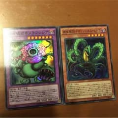 捕食植物セットのサムネイル