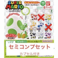 r*t様 スーパーマリオ めじるしアクセサリー ヨッシーコレクション セミコンプのサムネイル