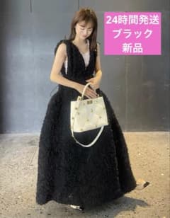 Bibiy. NOELLE SHEER DRESS チュール ワンピース - メルカリ