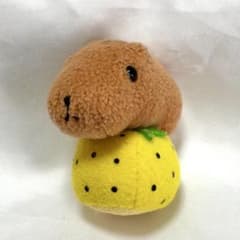 카피바라씨 화면을 닦는 곳의 봉제인형 스트랩 유자