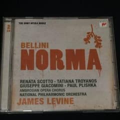 歌劇『ノルマ 』Opera NORMAのサムネイル