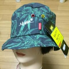 バケハのサムネイル