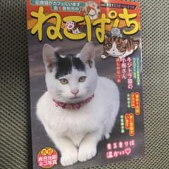 ねこぱんちのサムネイル