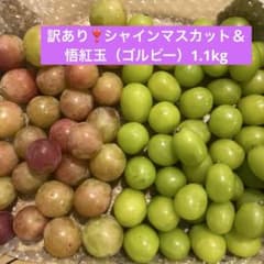 訳あり❣️❣️シャインマスカット＆悟紅玉（ゴルビー）1.1kg(๑╹ω╹๑ )のサムネイル
