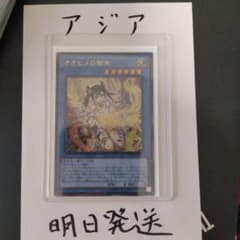 遊戯王 アジア オオヒメの御巫 - メルカリ