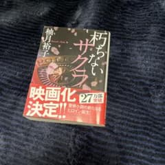 朽ちないサクラのサムネイル
