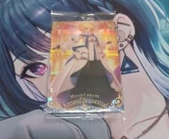 Fate/Grand Order アルクェイド・ブリュンスタッド カード