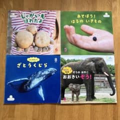 サンチャイルド ビッグサイエンス ４冊セットのサムネイル