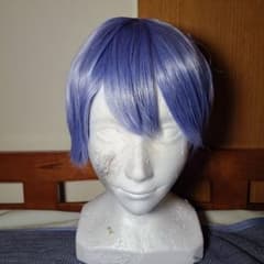 コスプレ ウィッグ にじさんじ Dytica 小柳ロウ - メルカリ