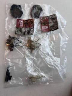 海洋堂 カプセルQミュージアム 恐竜発掘記6 恐竜全身骨格展示室　ステゴサウルスのサムネイル
