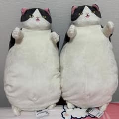 わくでかぬいぐるみ ダイナマイトボディなネコ