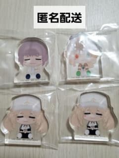 Fate Grand Order FGO 복권 알캐스 악스타 수영복