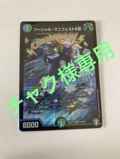【チャク様専用】ソーシャルマニフェスト2世　一枚のサムネイル