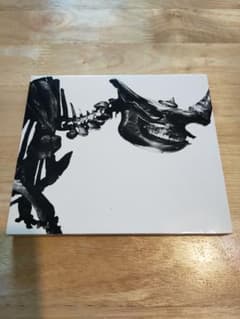 専用！2枚セット　MR.CHILDREN 1996-2000のサムネイル