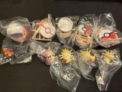 ポケモン　わくわくアスレチックのサムネイル