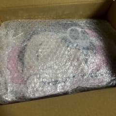 神のみぞ知るセカイ エルシィクッションのサムネイル