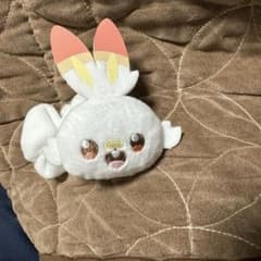 히바니 포켓몬 슈슈 포켓피스