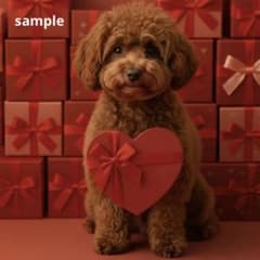[145中]プードル　犬　ステッカーのサムネイル