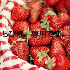 ちぴ様、専用です。のサムネイル