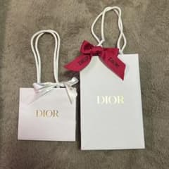 DIOR ショップ袋 2枚セットのサムネイル
