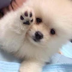 ☆ゆか☆様専用のサムネイル