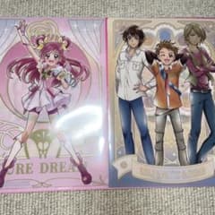 【くーちゃん様専用】プリキュアオールスターズクリアファイルのサムネイル