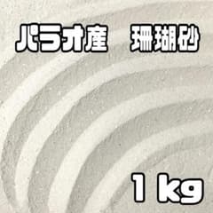 天然】パラオ産 珊瑚砂 1kg 極細サイズ 2 - メルカリ