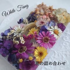 花の詰め合わせ✡ドライフラワー◇専用ケース付き - メルカリ