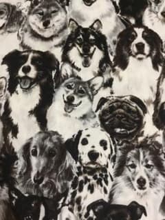 犬の柄　ハギレのサムネイル