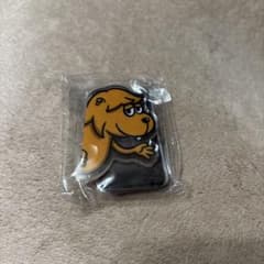 SUPER BEAVER ツアー2026ガチャ アクリルマグネット 渋谷龍太 - メルカリ