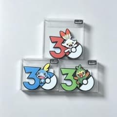 り*様 ポケモン30周年 マグネット ガラル御三家 3点セット - メルカリ
