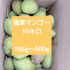 摘果マンゴー10キロ - メルカリ