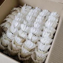 中古羽根バドミントンシャトル240球 - メルカリ
