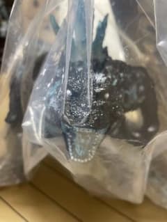 限定品　バンダイ ゴジラ GVA 2023 フィギュア