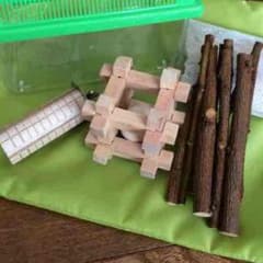 めるはむ様専用のサムネイル