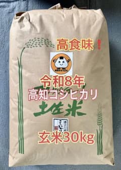 高食味❗️令和8年産 新米 我が家減農薬特別栽培 高知コシヒカリ 玄米