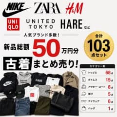 新品総額50万円 古着103点セット NIKE ZARA UNIQLOなど - メルカリ