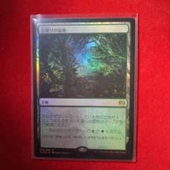 【Foil】《花盛りの湿地》［KLD］のサムネイル