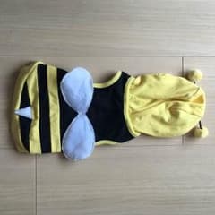 ワンチャン お洋服 U^ェ^Uのサムネイル