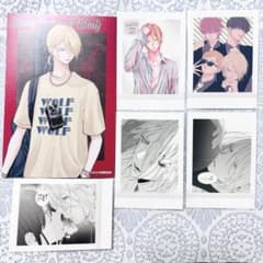 ミユキ蜜蜂 ぱしゃこれ アニメイトフェア特典 野良猫と狼 6枚セット