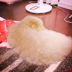 モゲちゃん様専用のサムネイル