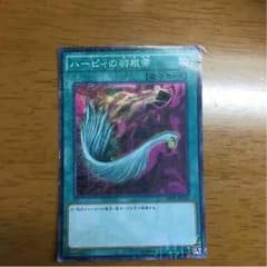 ハーピィの羽根帚のサムネイル