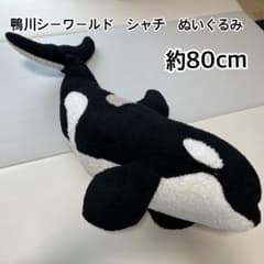 鴨川シーワールド シャチぬいぐるみ 61sZxeVEFsL._AC_UL210_SR210,