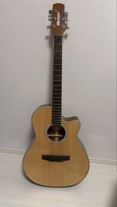 Morris エレアコ(R-011) 本体 純正ソフトケース付 - メルカリ