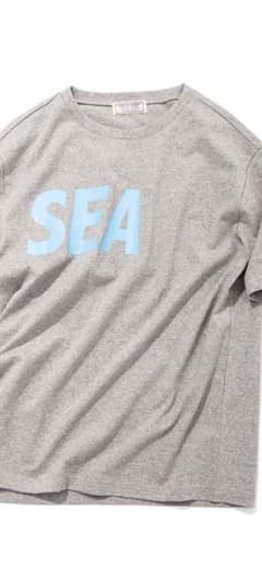 windandsea guess Tシャツ　Mサイズ　グレーのサムネイル