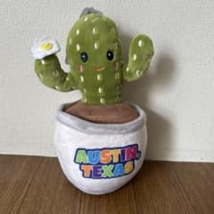サボテンぬいぐるみ - メルカリ