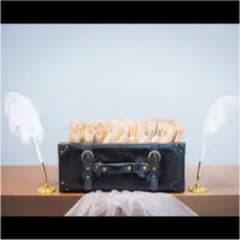 羽根ペンのサムネイル