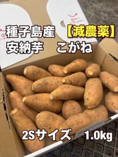 種子島産安納芋紅【減農薬】 2Sサイズ 1kg - メルカリ