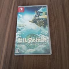 ゼルダの伝説 TEARS OF THE KINGDOM