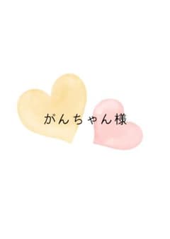 専用【がんちゃん様】のサムネイル